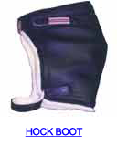 Hock Boot