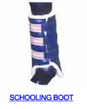 Schooling Boot